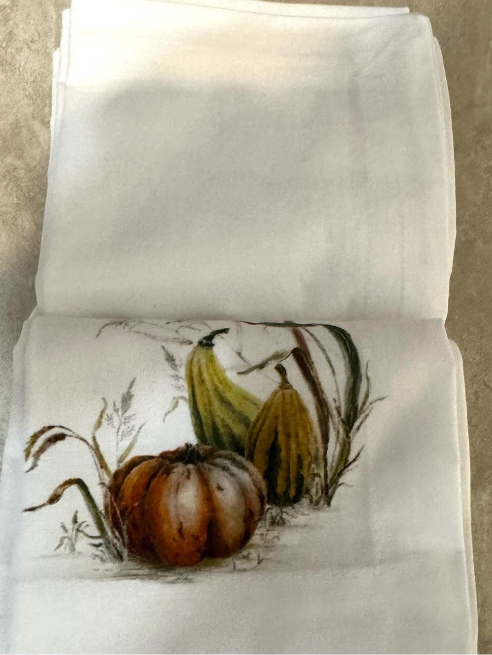 Pottery Barn Bedford Harvest Napkins - Picture 8 of 12
